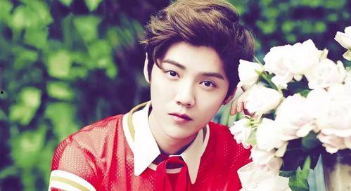 杨紫李现肖战最新爆料,揭秘明星幕后故事与情感纠葛 第3张 杨紫李现肖战最新爆料,揭秘明星幕后故事与情感纠葛 第3张