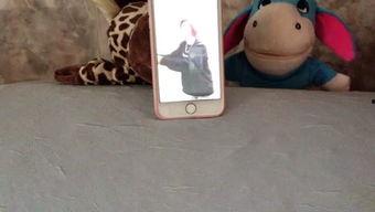 吃瓜娱乐呱,揭秘娱乐圈背后的趣味故事 第2张 吃瓜娱乐呱,揭秘娱乐圈背后的趣味故事 第2张