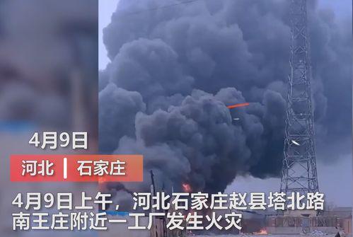 吉林木材厂爆料事件视频,揭露惊人内幕 第2张 吉林木材厂爆料事件视频,揭露惊人内幕 第2张